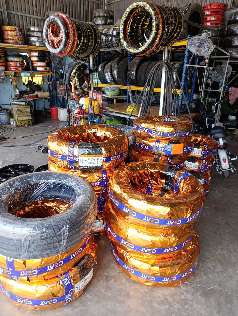 Hình ảnh hoạt động