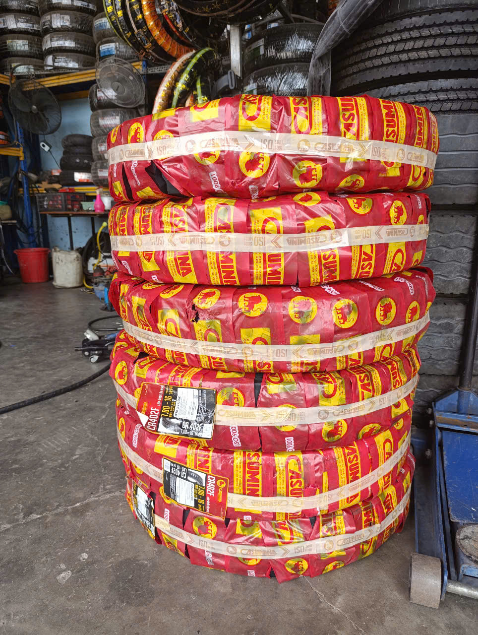 Hình ảnh hoạt động